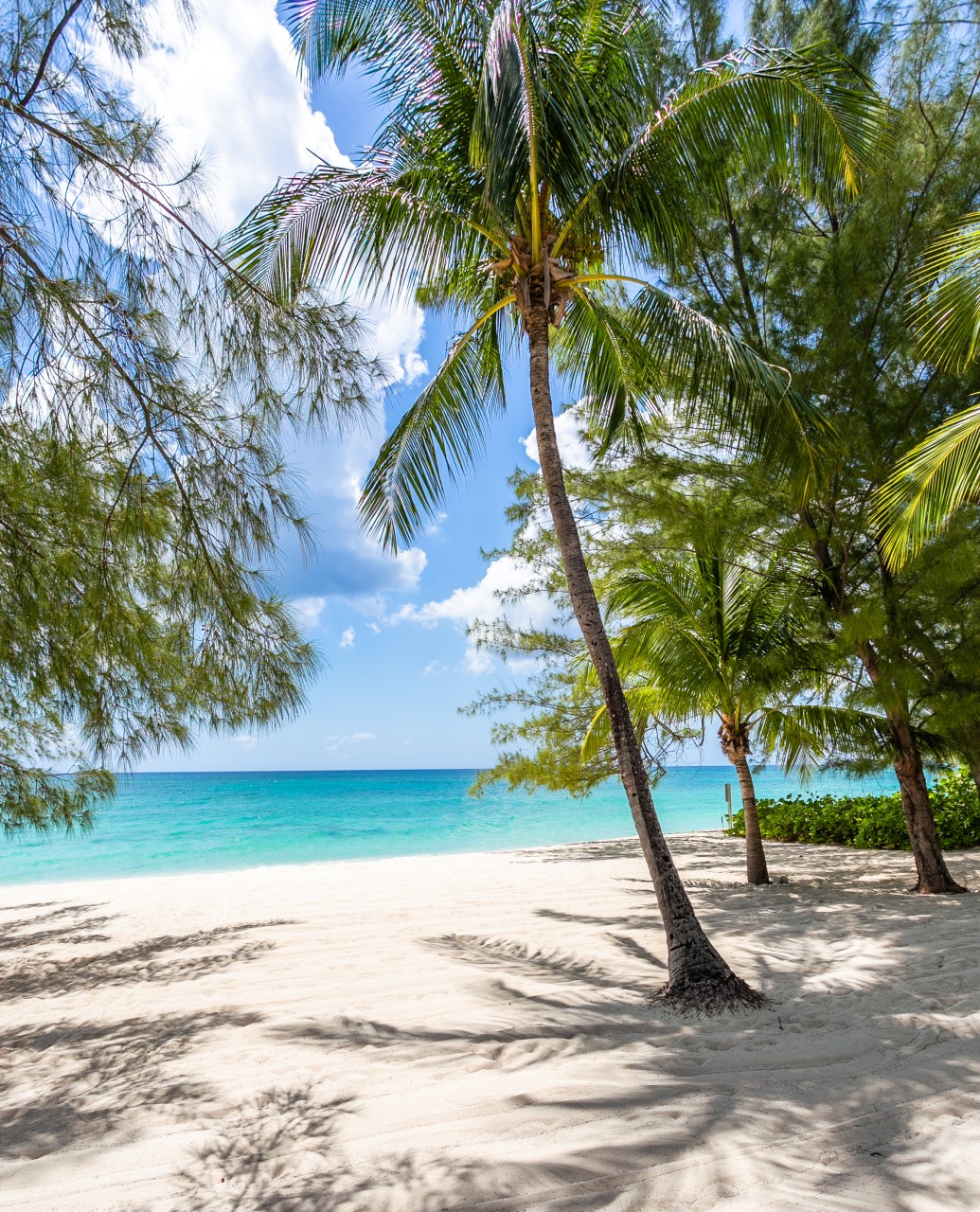 White Sands 16 - Cayman Villas